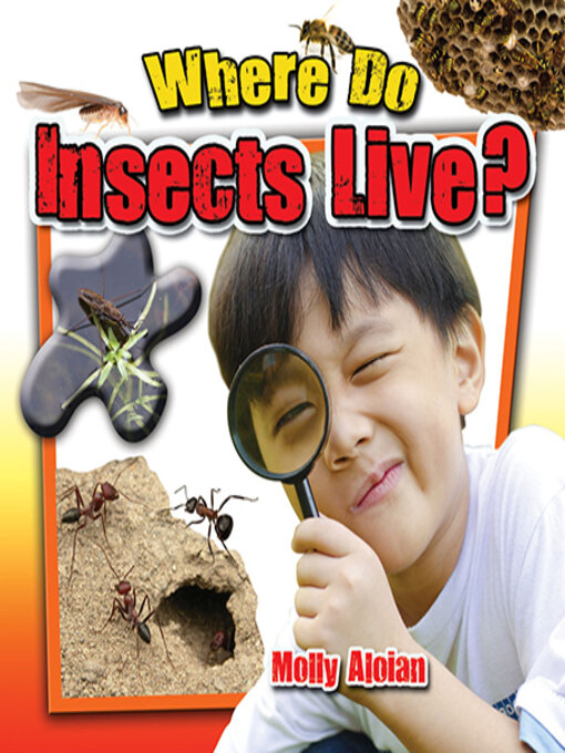 Title details for Where Do Insects Live? by Molly Aloian - Available